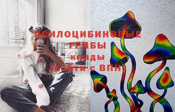 стафф Белокуриха