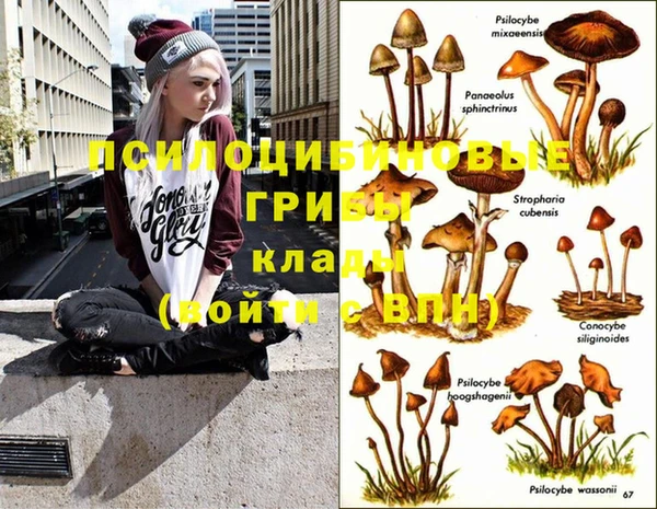 стафф Белокуриха
