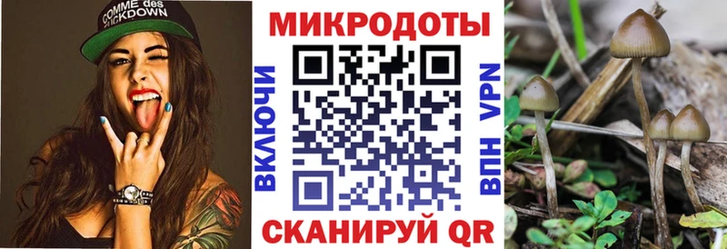 Купить где  Котельнич  Псилоцибиновые грибы MAGIC MUSHROOMS 